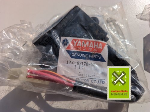 PXL_20240523_152338070
